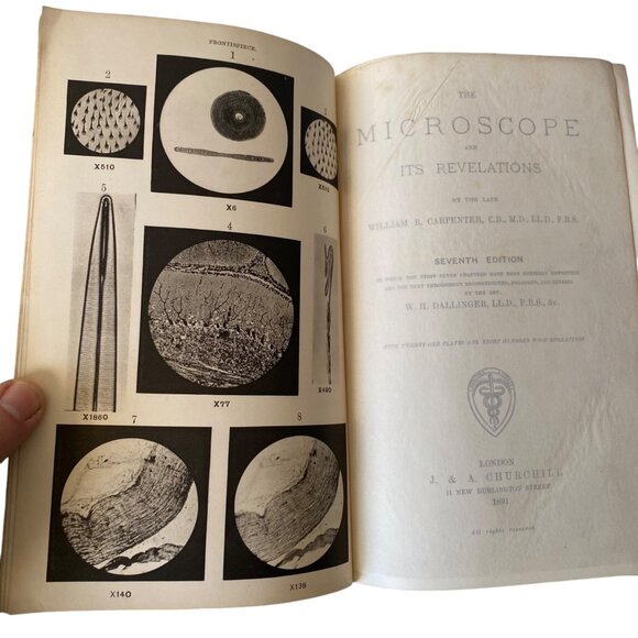The Microscope And Its Revelations 7th Ed Carpenter Edited By Dallinger 1891 - Picture 4 of 10